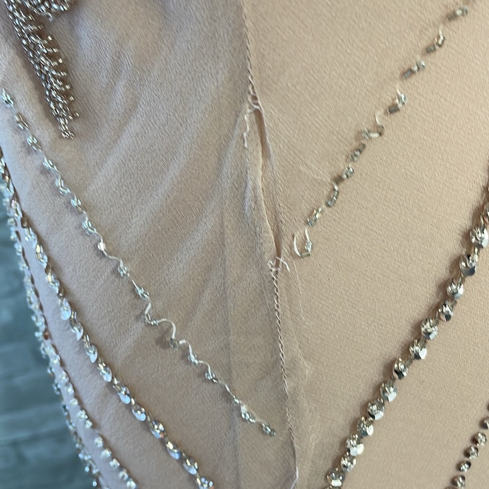 Xscape Blush Beaded Mesh Maxi Dress - Picture 10 of 13